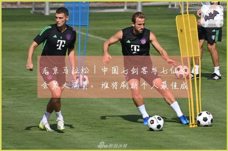 东京马拉松｜中国七剑客与七仙女会聚大满贯，谁将刷新个人最佳成为焦点